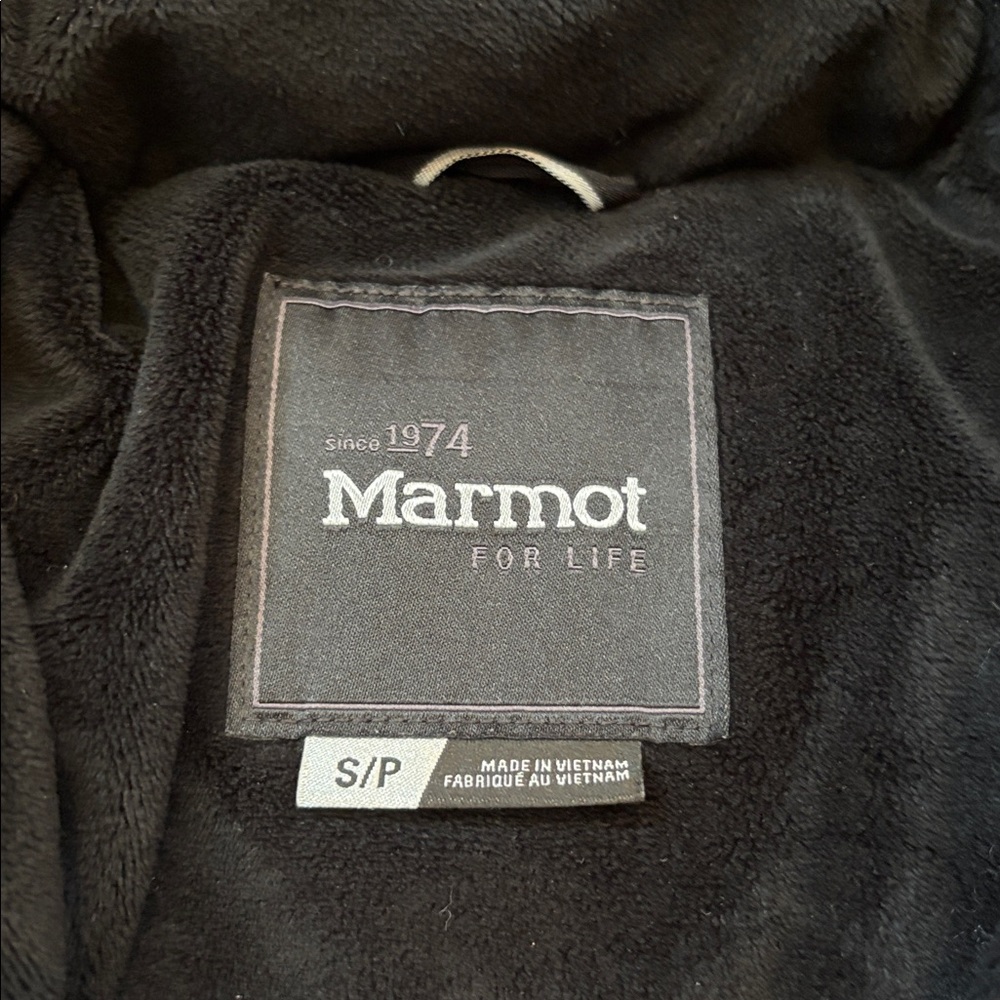 • Marmot• - Picture 3 of 10